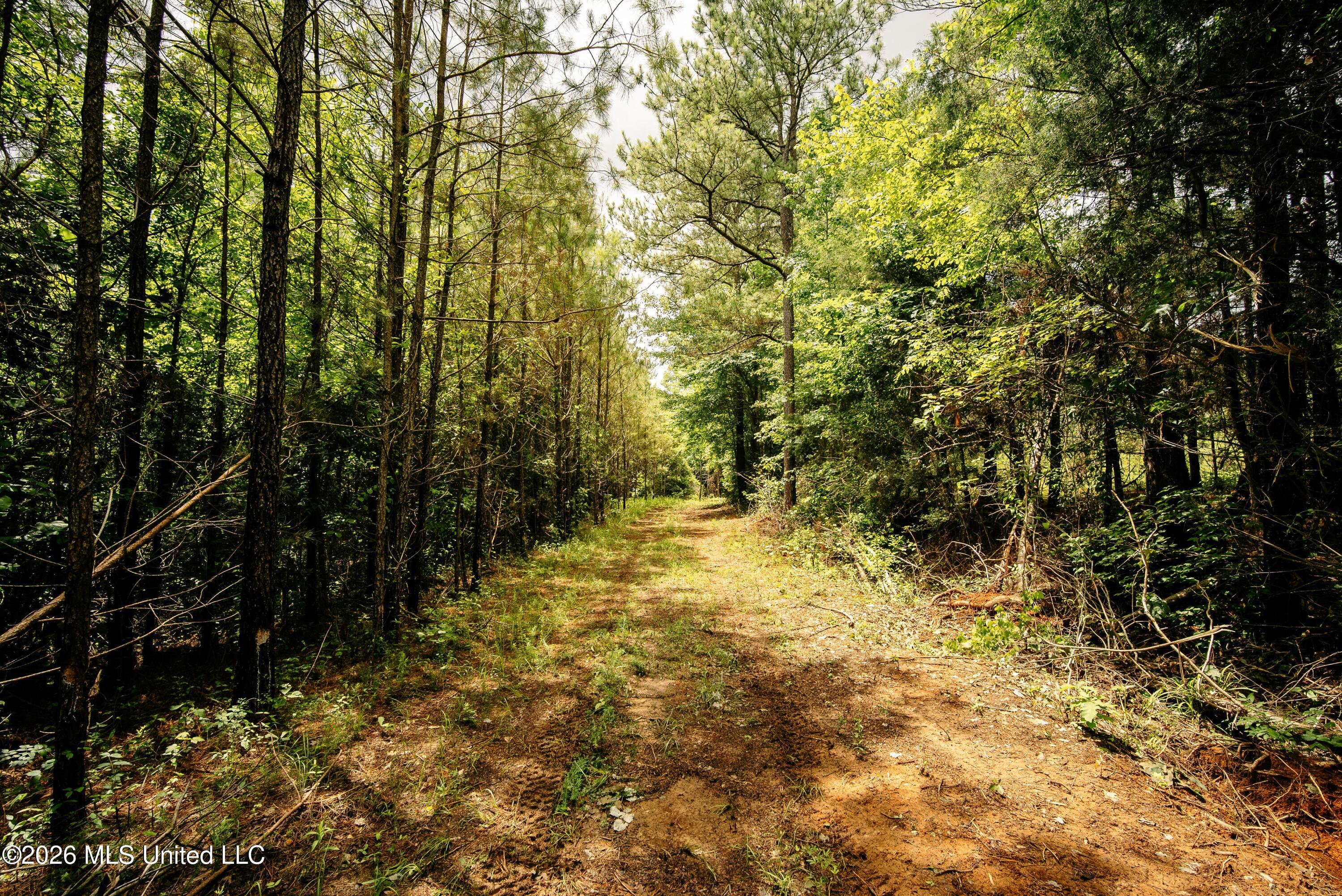 10843 Reservation Road Philadelphia, MS 39350 - Photo 14 of 42 13 (5)