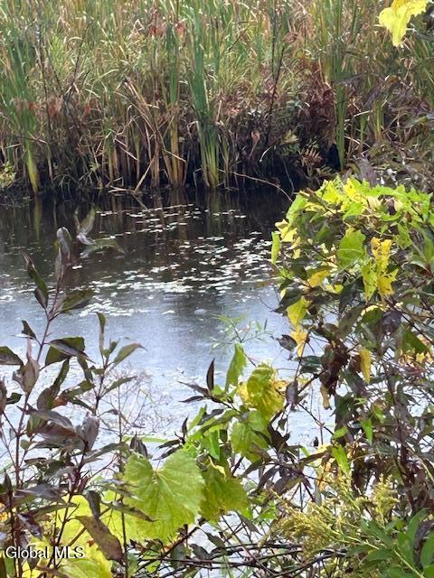 L22 North Road Dolgeville, NY 13329 - Photo 2 of 5 IMG_1296 (1)