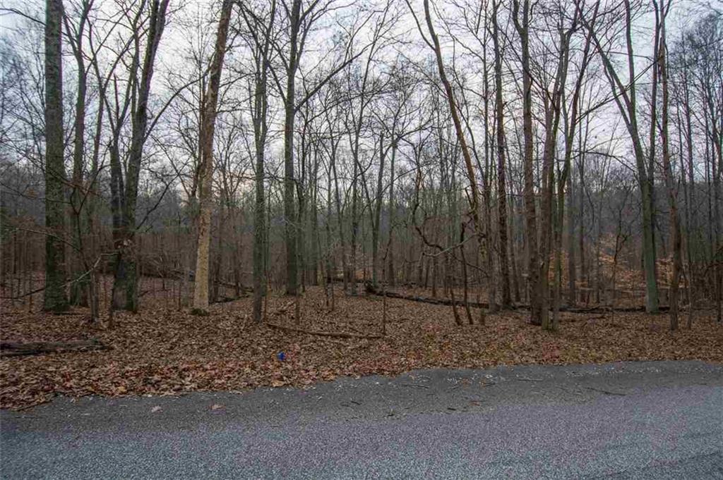 7481 East Rush Ridge Road Bloomington, IN 47401 - Photo 3 of 7