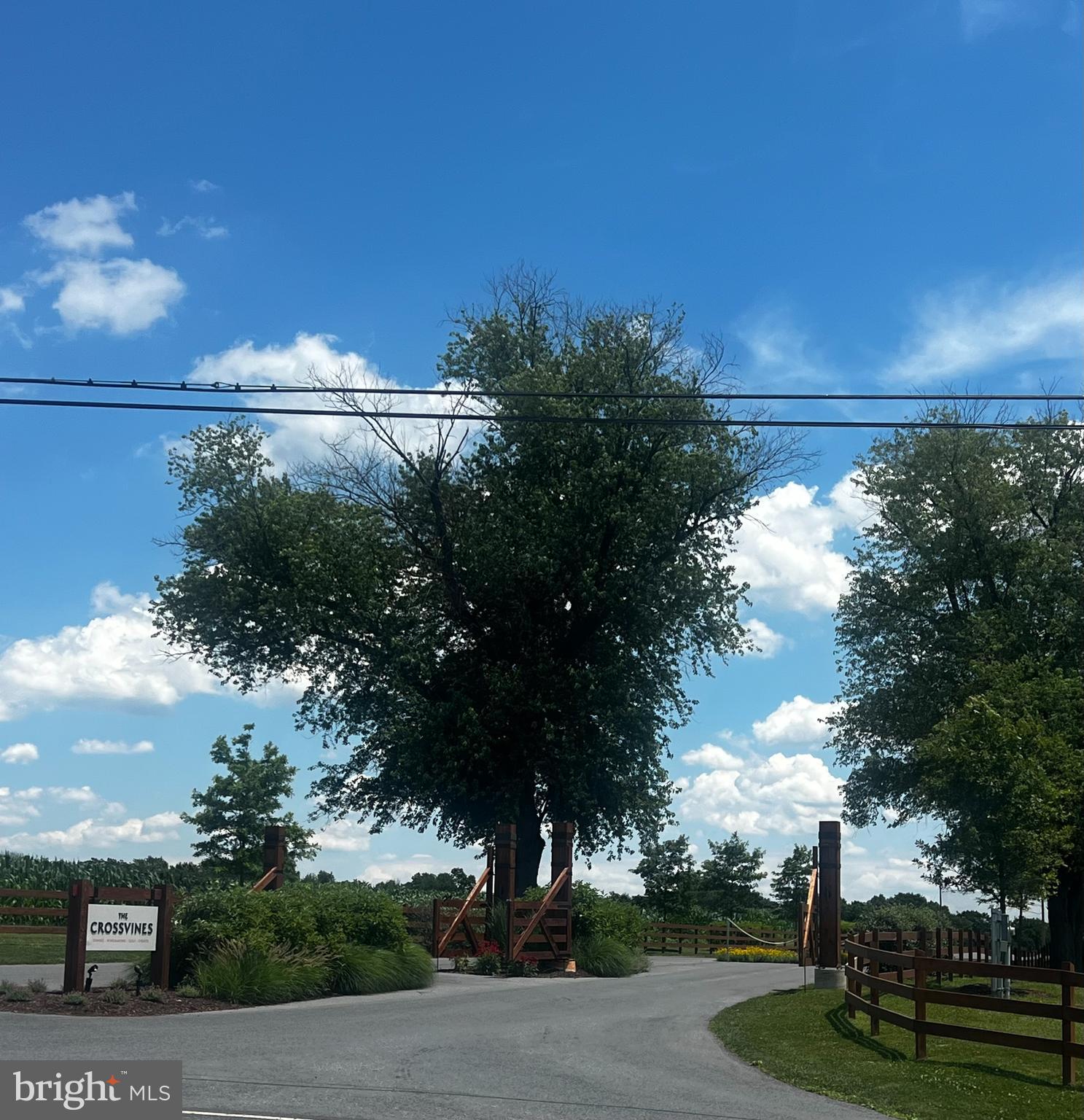 19932 Westerly Avenue Poolesville, MD 20837 - Photo 37 of 40 Crossvines Golf, Venue & Dininig