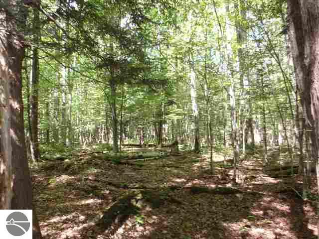 15660 Springdale Road Thompsonville, MI 49683 - Photo 10 of 15 1715799-9.JPG