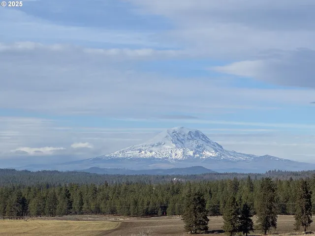a view of a city with mountain
