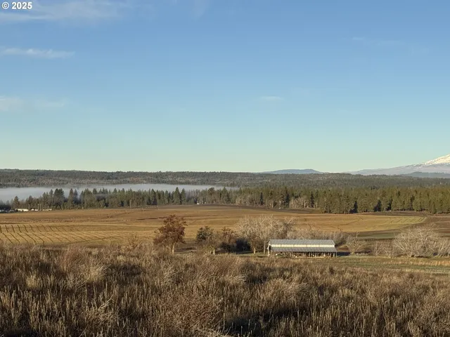 a view of a lake with houses in the back