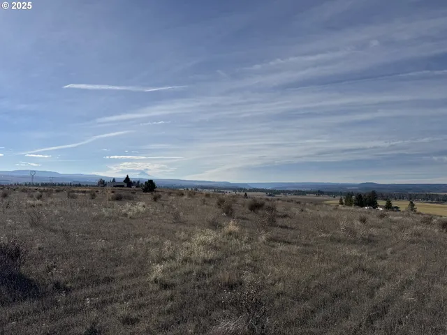 a view of a dry yard with wooden floor