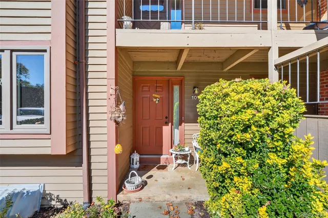 a view of a house with potted plants