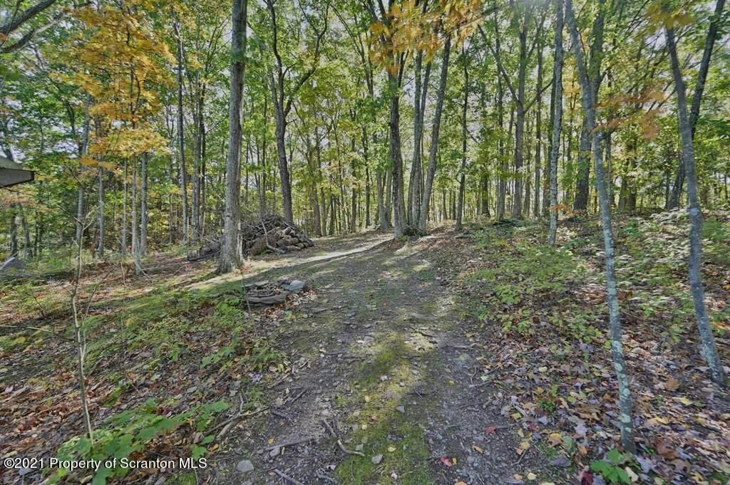 113 Marcy Road Tunkhannock, PA 18657 - Photo 73 of 82 a view of a forest with trees in the background
