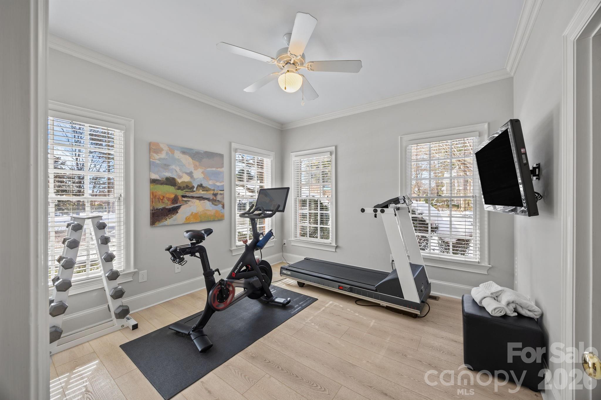 18603 Town Harbour Road Cornelius, NC 28031 - Photo 21 of 48