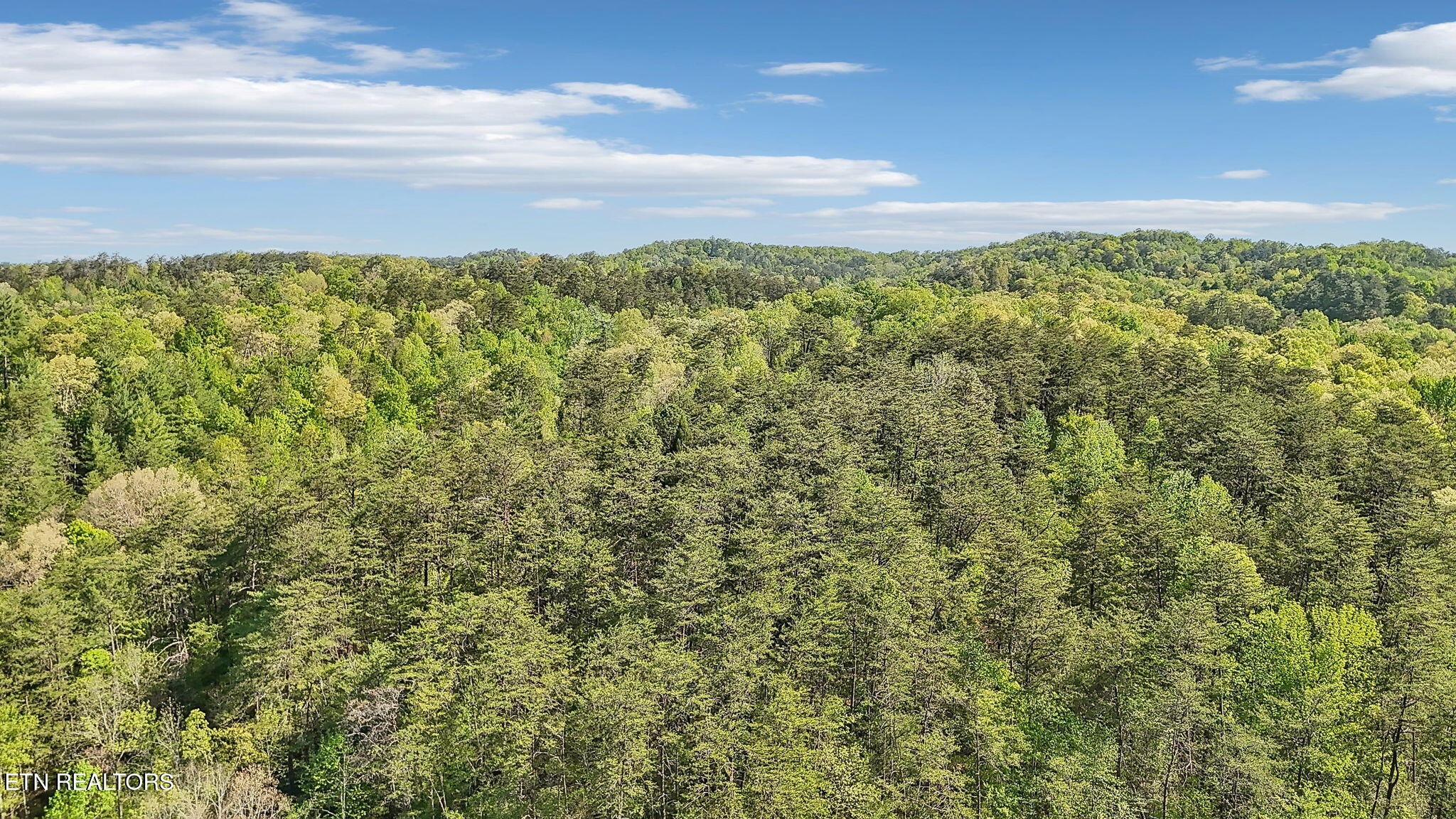 1351 Mortar Road Sevierville, TN 37876 - Photo 12 of 28
