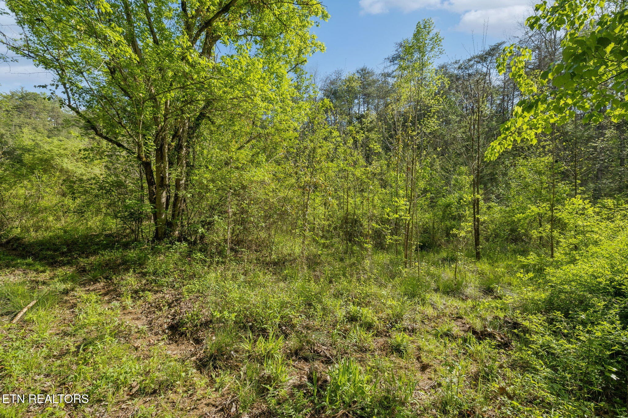 1351 Mortar Road Sevierville, TN 37876 - Photo 8 of 28