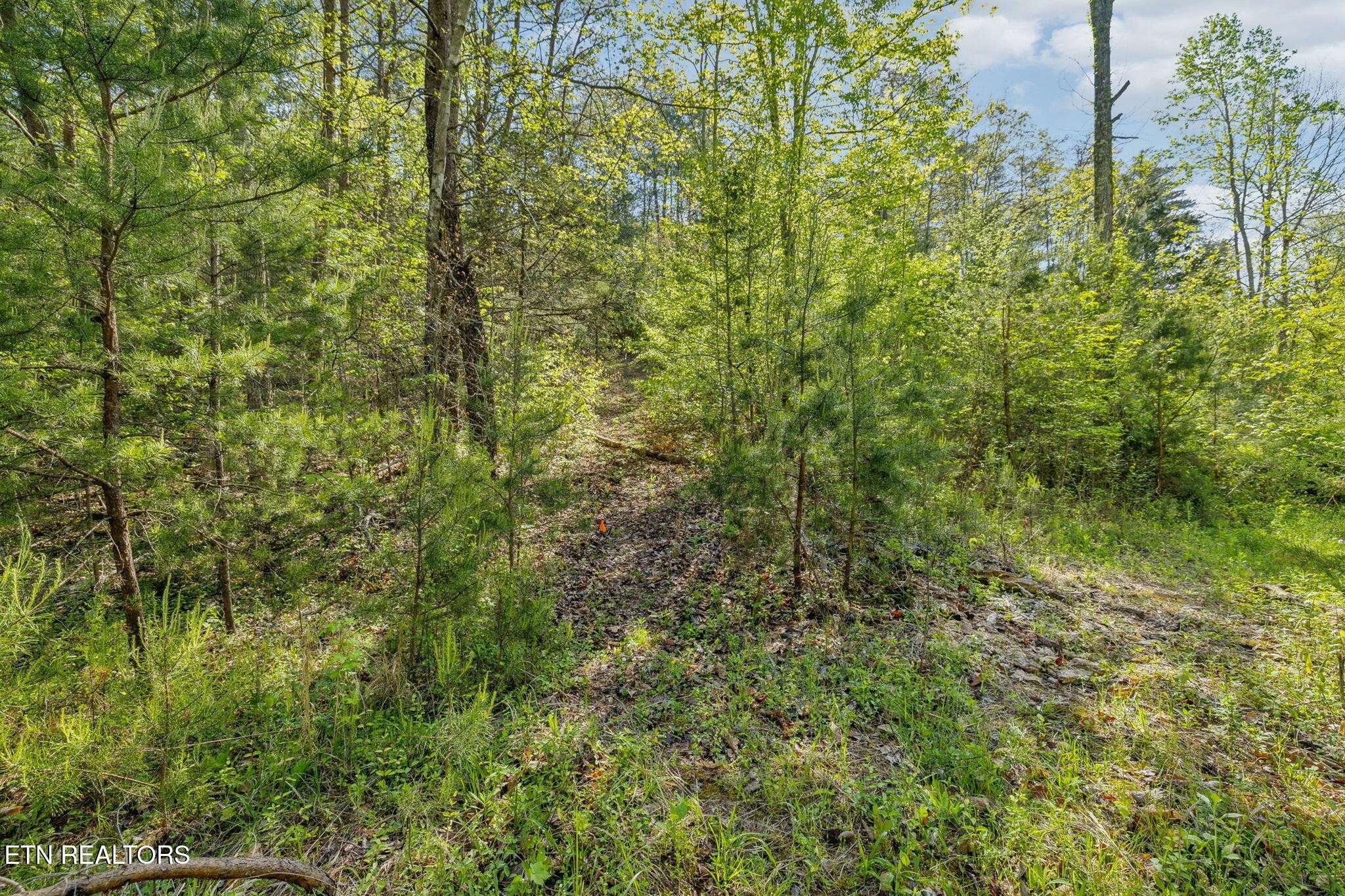 1351 Mortar Road Sevierville, TN 37876 - Photo 9 of 28