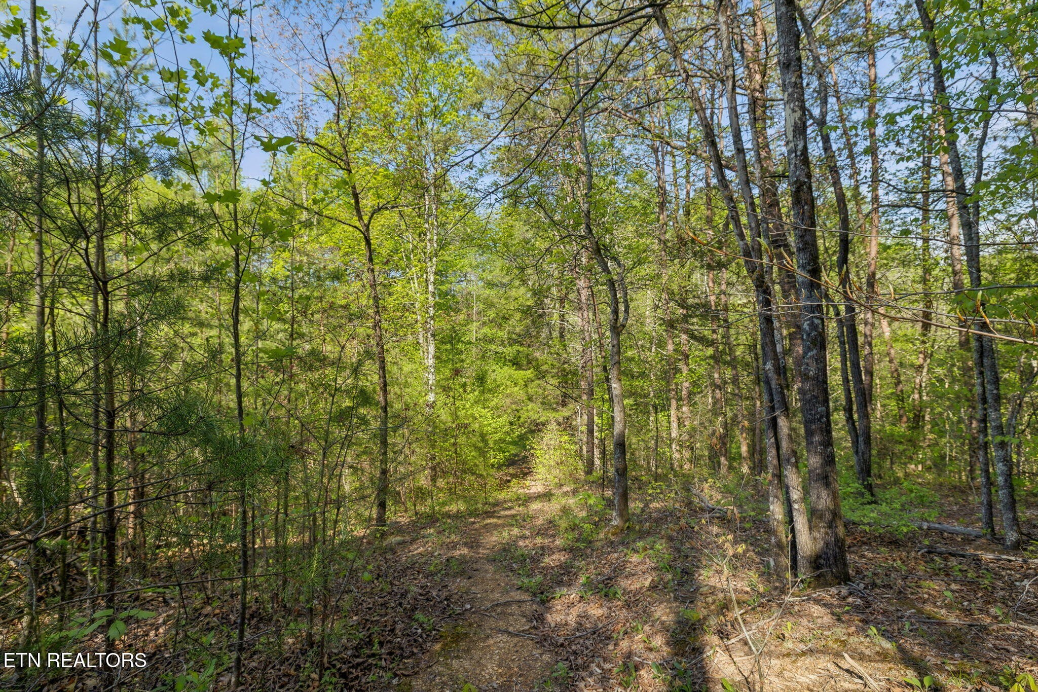 1351 Mortar Road Sevierville, TN 37876 - Photo 10 of 28