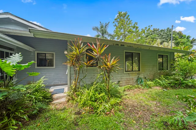 a view of a yard with plants and large trees