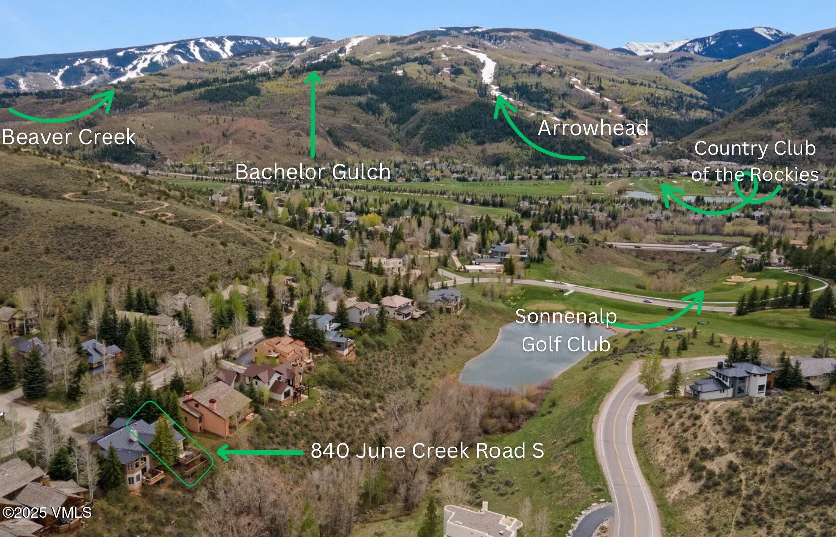 a view of a garden with a mountain