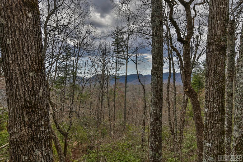 983 Spring Forest Road Sapphire, NC 28774 - Photo 38 of 40 Gallery Image 38