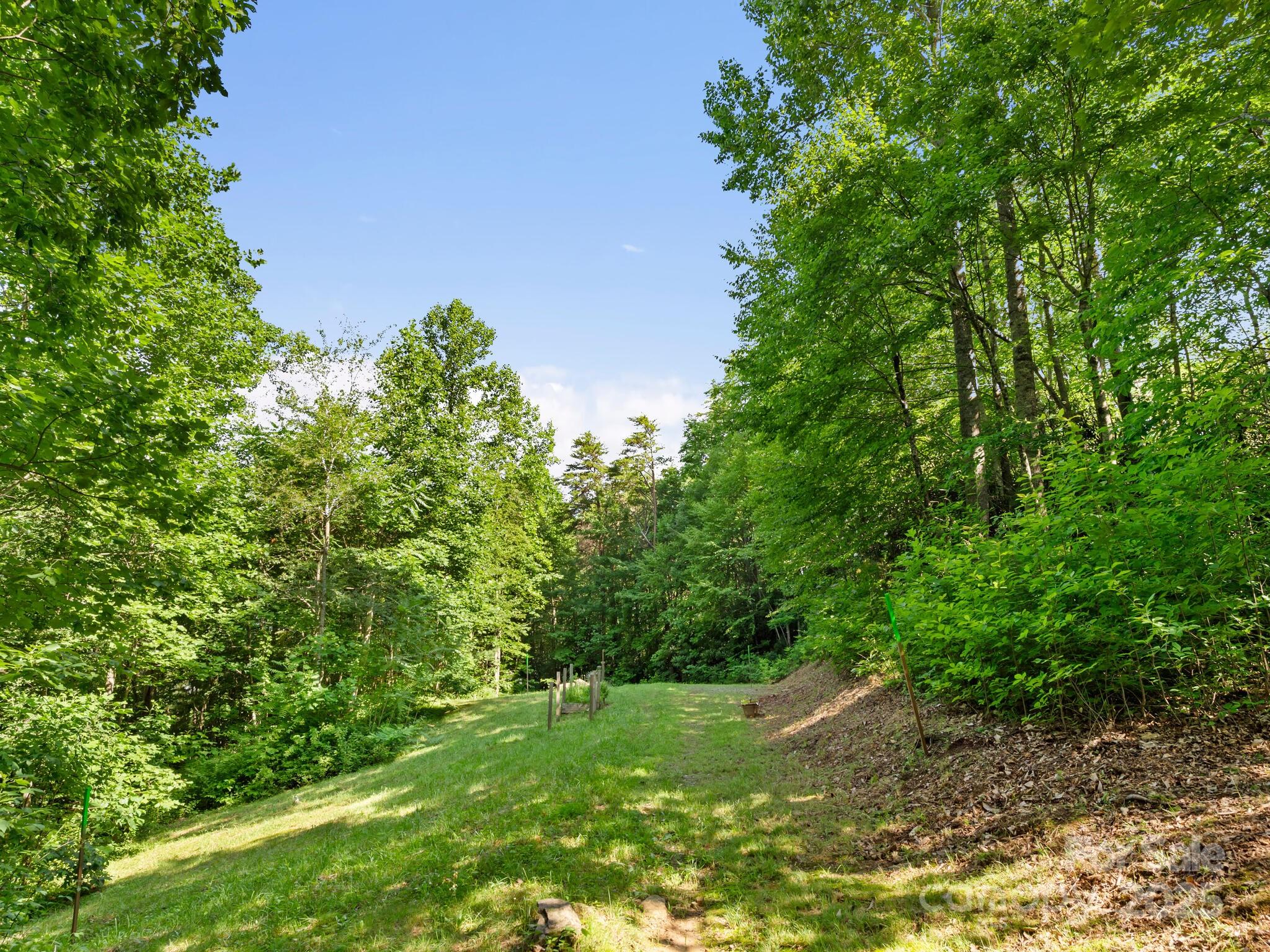 157 Shadow Run Road Hendersonville, NC 28792 - Photo 39 of 47 Gallery Image 39