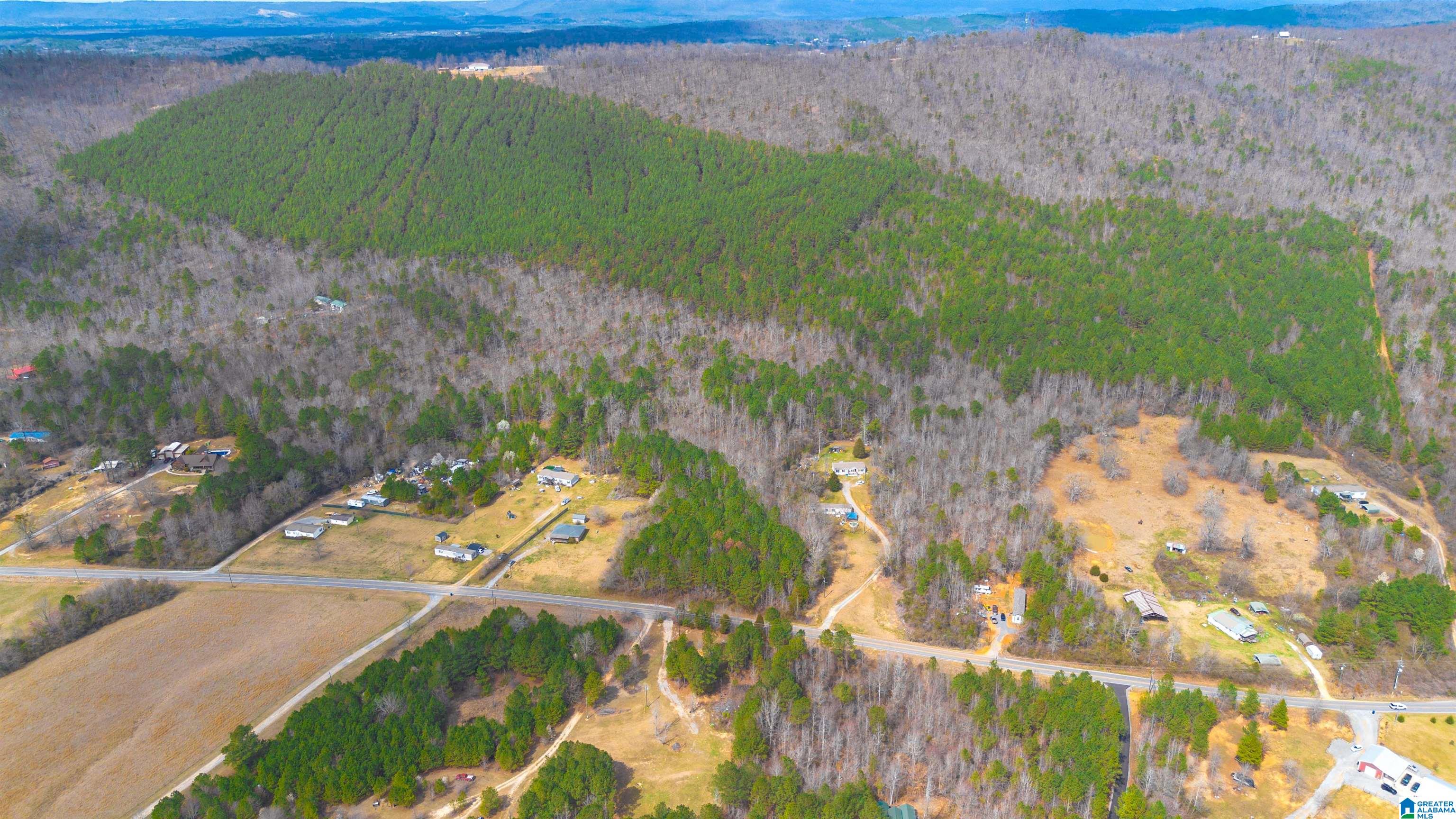 0 Shoal Creek Road Ashville, AL 35953 - Photo 9 of 10