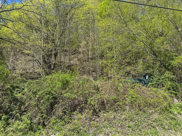a view of a yard