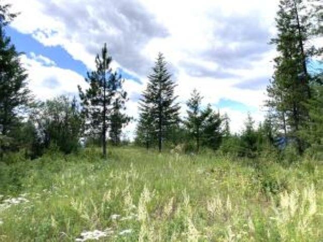 U U Buffy Lane Inchelium, WA 99138 - Photo 11 of 14