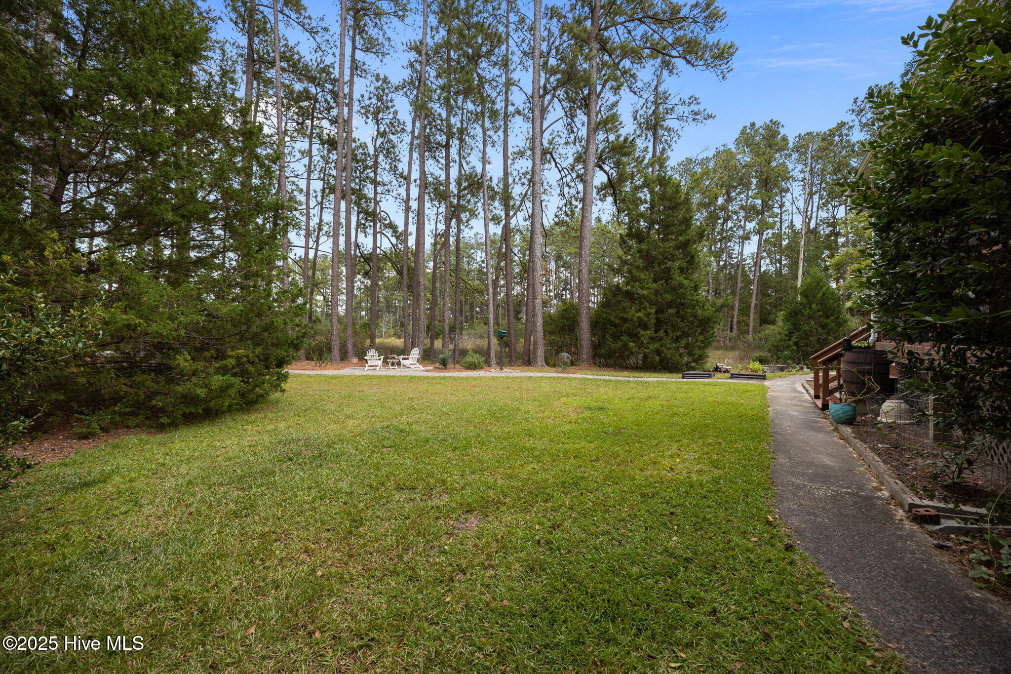 188 Quail Road Merritt, NC 28556 - Photo 5 of 51 Side yatrd