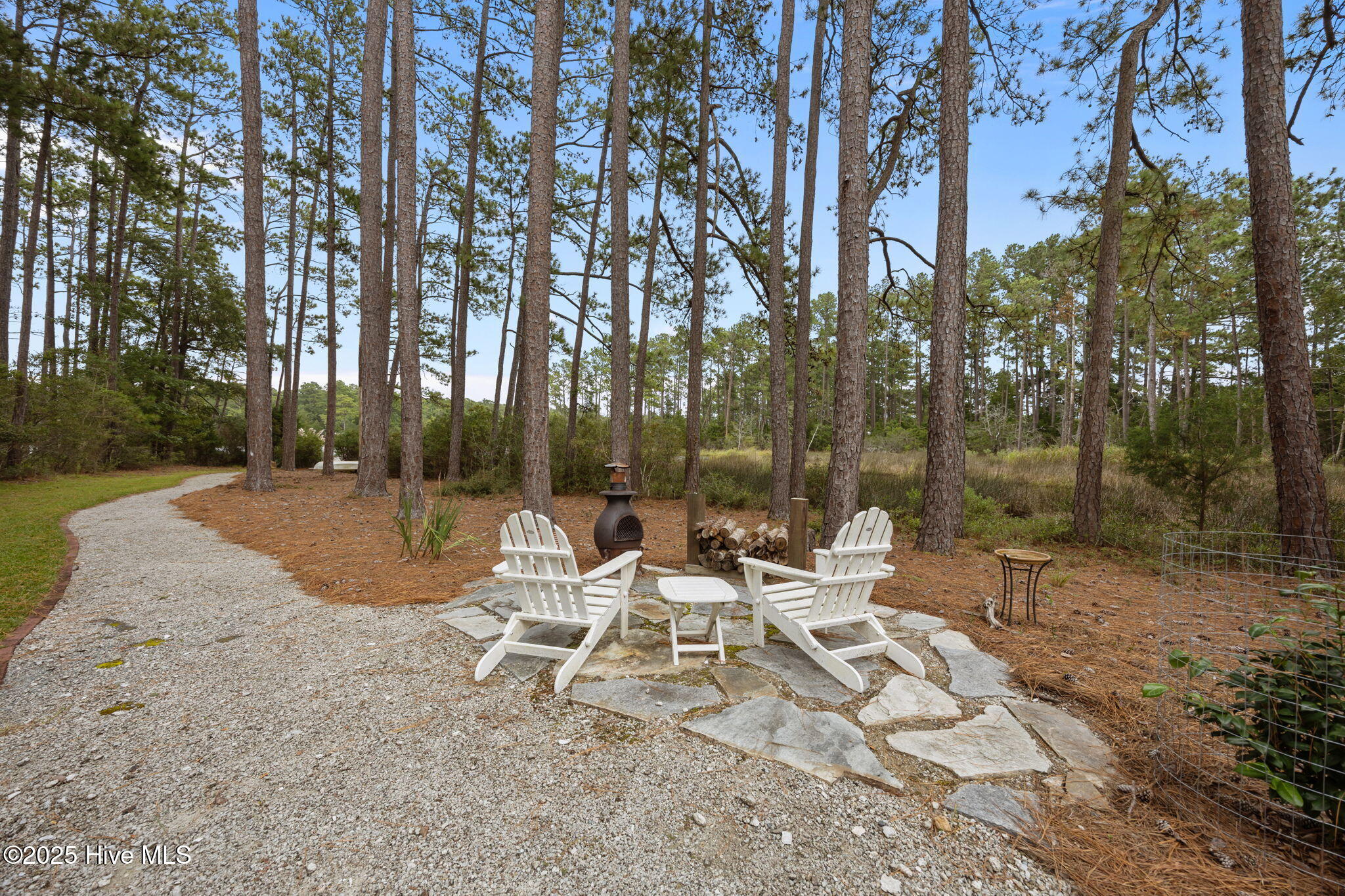 188 Quail Road Merritt, NC 28556 - Photo 6 of 51 Fire pit n the wau to the dock.