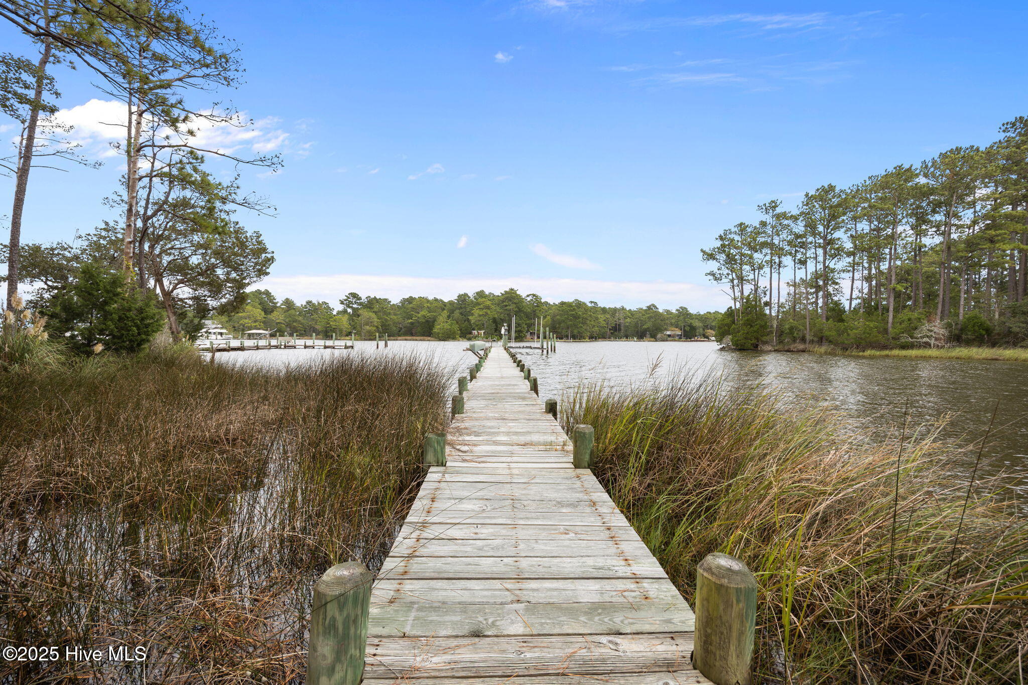 188 Quail Road Merritt, NC 28556 - Photo 7 of 51 Dock walkway.