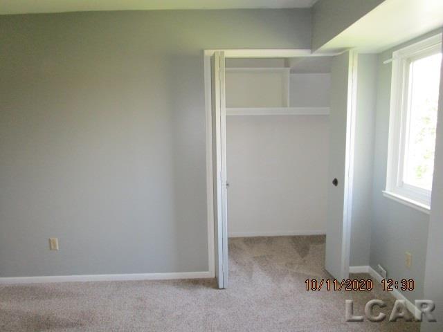 7645 Clinton Macon Road Clinton, MI 49236 - Photo 16 of 65 50029405-19.JPG