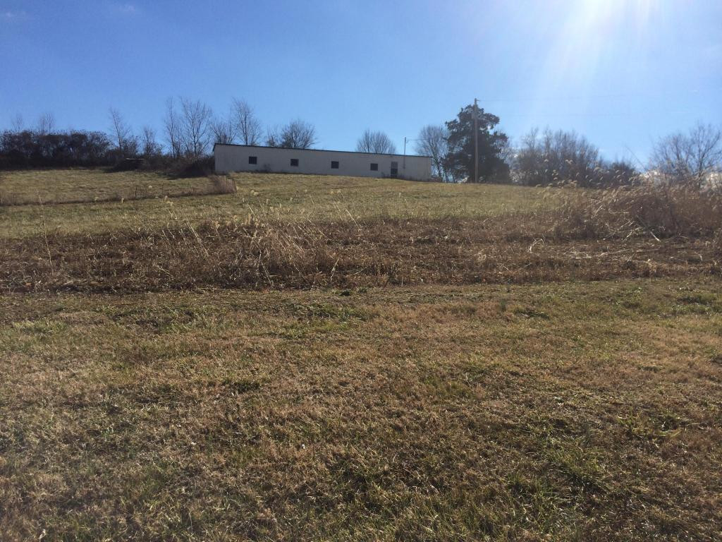 3665 Poplar Springs Road Greeneville, TN 37743 - Photo 10 of 12 Photo 10