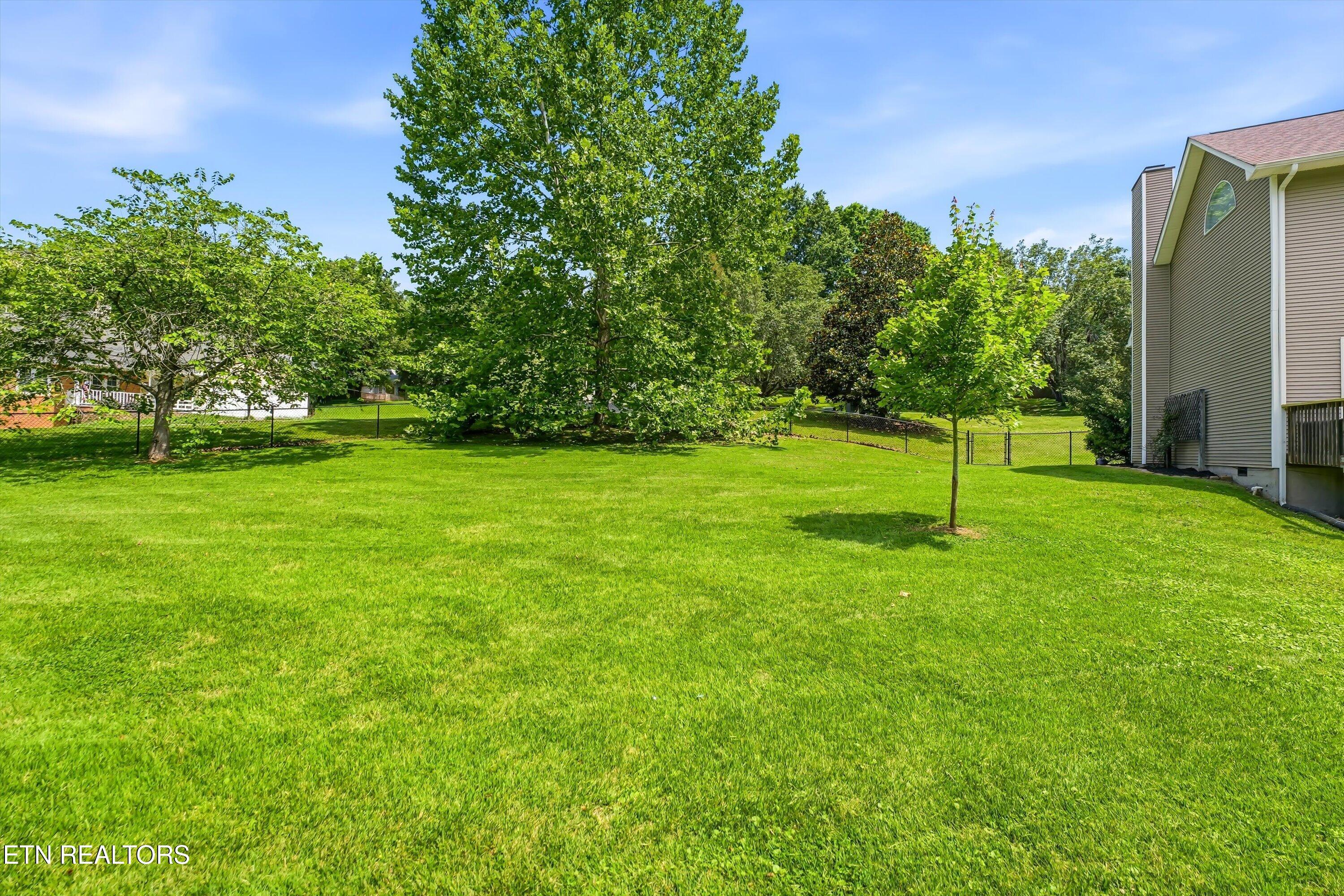 113 Tempura Drive Oak Ridge, TN 37830 - Photo 28 of 30 36-FINAL-35