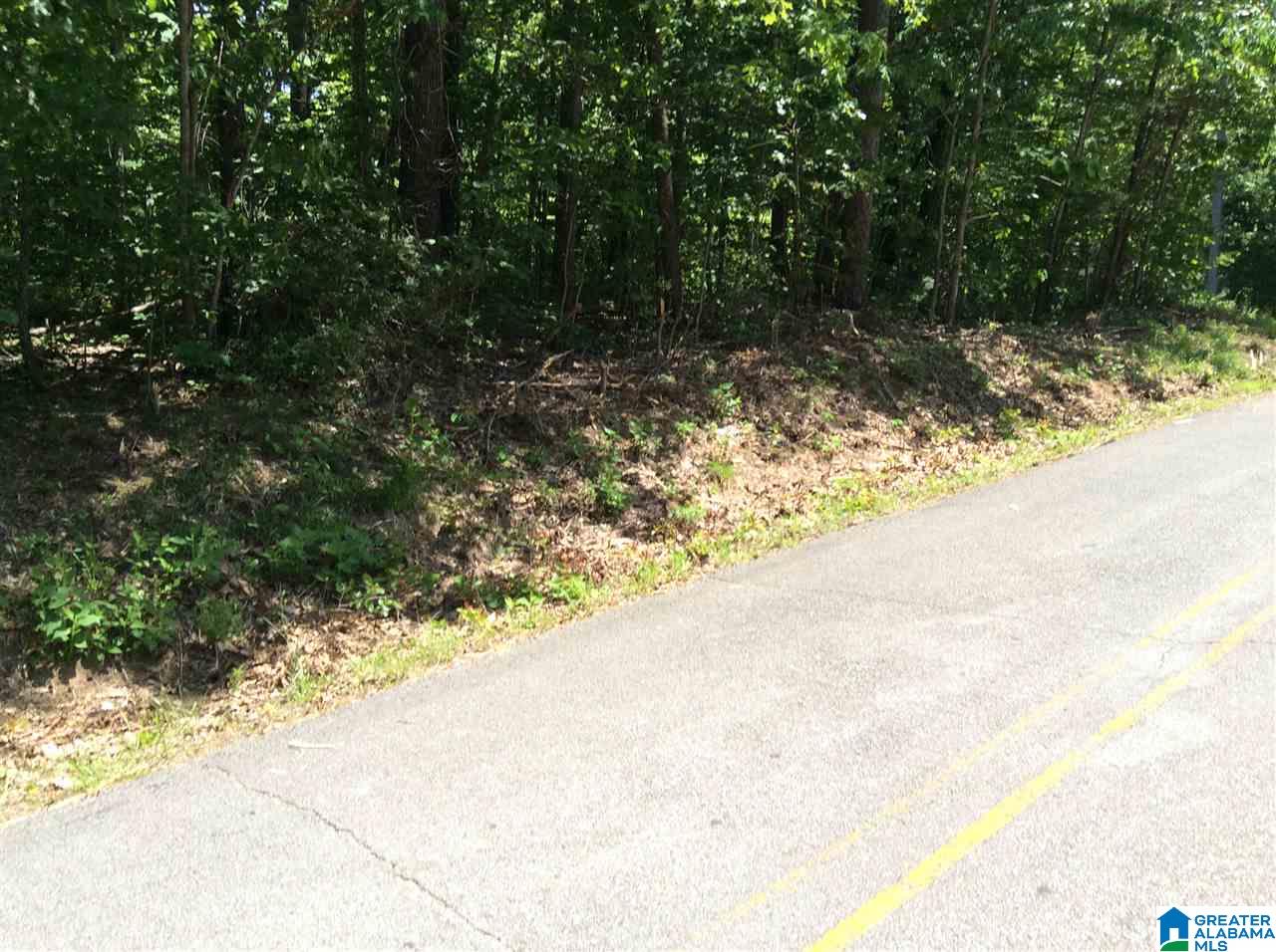 0 County Road 89, Unit 1 Mentone, AL 35984 - Photo 4 of 10