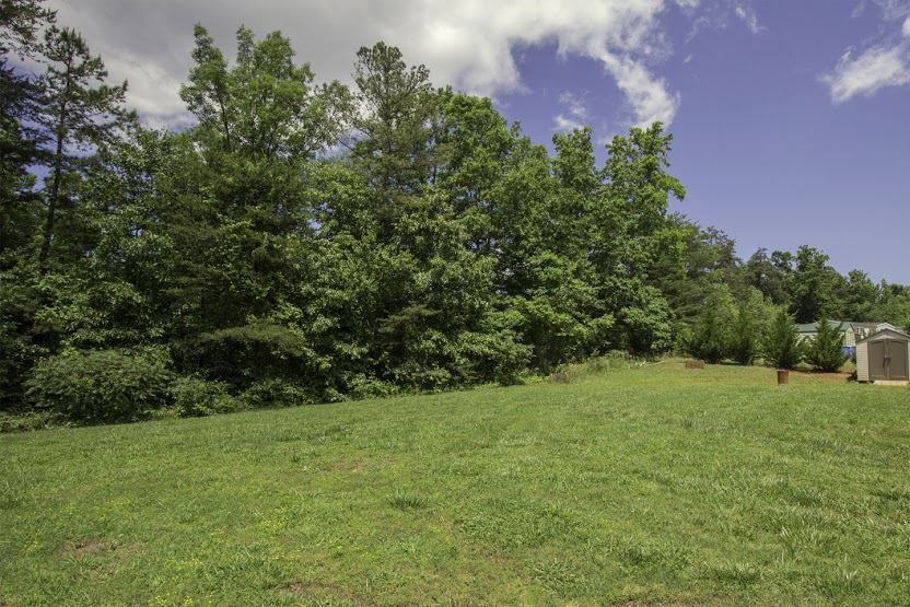 150 Buck Branch Mill Spring Mill Spring, NC 28756 - Photo 22 of 23