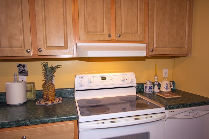 150 Buck Branch Mill Spring Mill Spring, NC 28756 - Photo 7 of 23