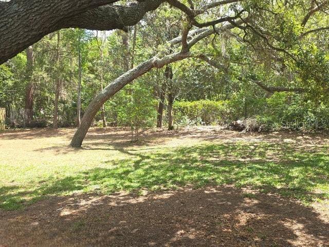 8056 Chaucer Drive Weeki Wachee, FL 34607 - Photo 53 of 57