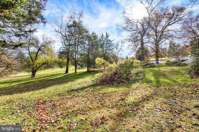 a view of backyard with green space