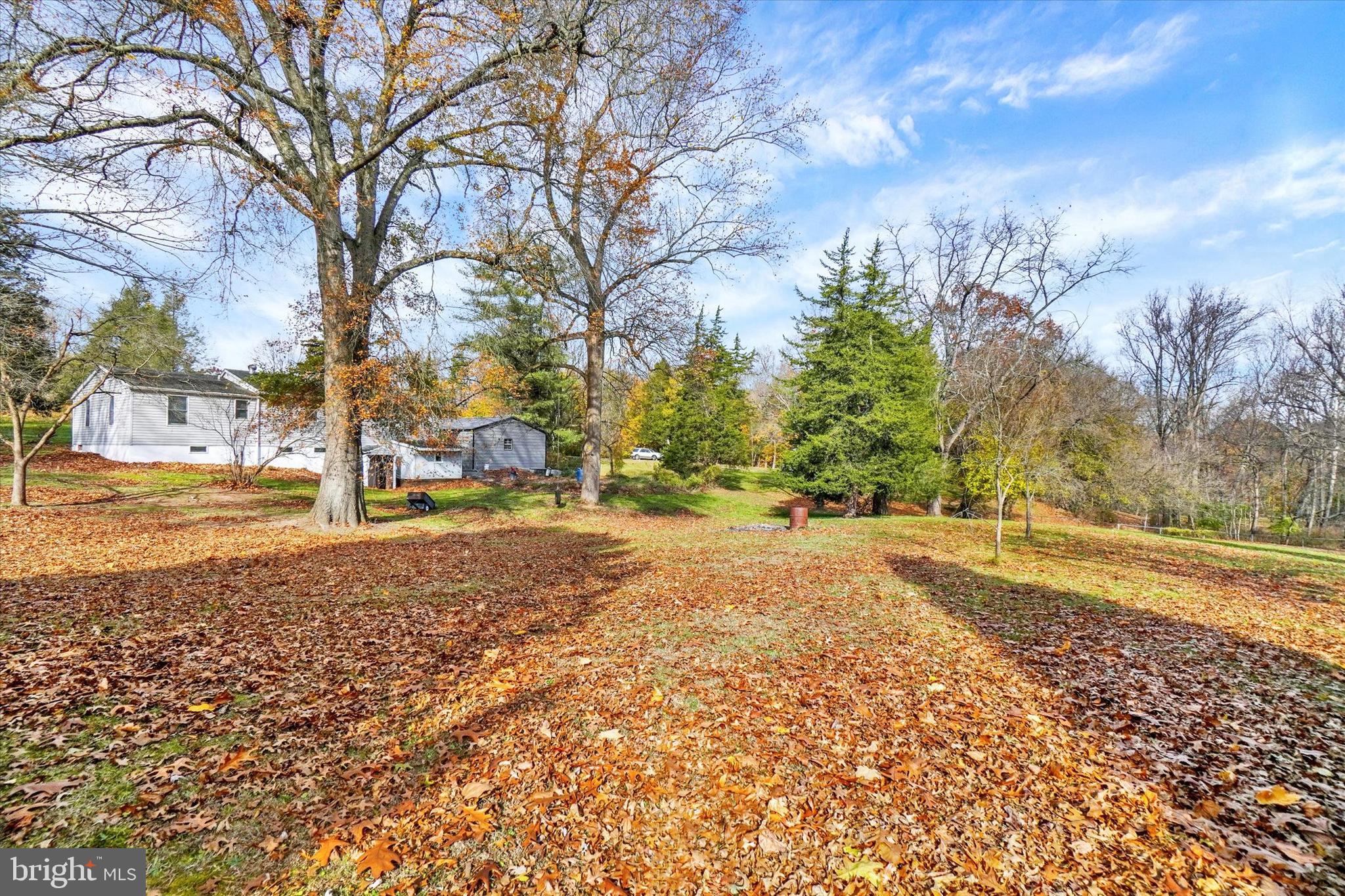 35 Kline Avenue Manchester, PA 17345 - Photo 26 of 28 a view of road with large trees