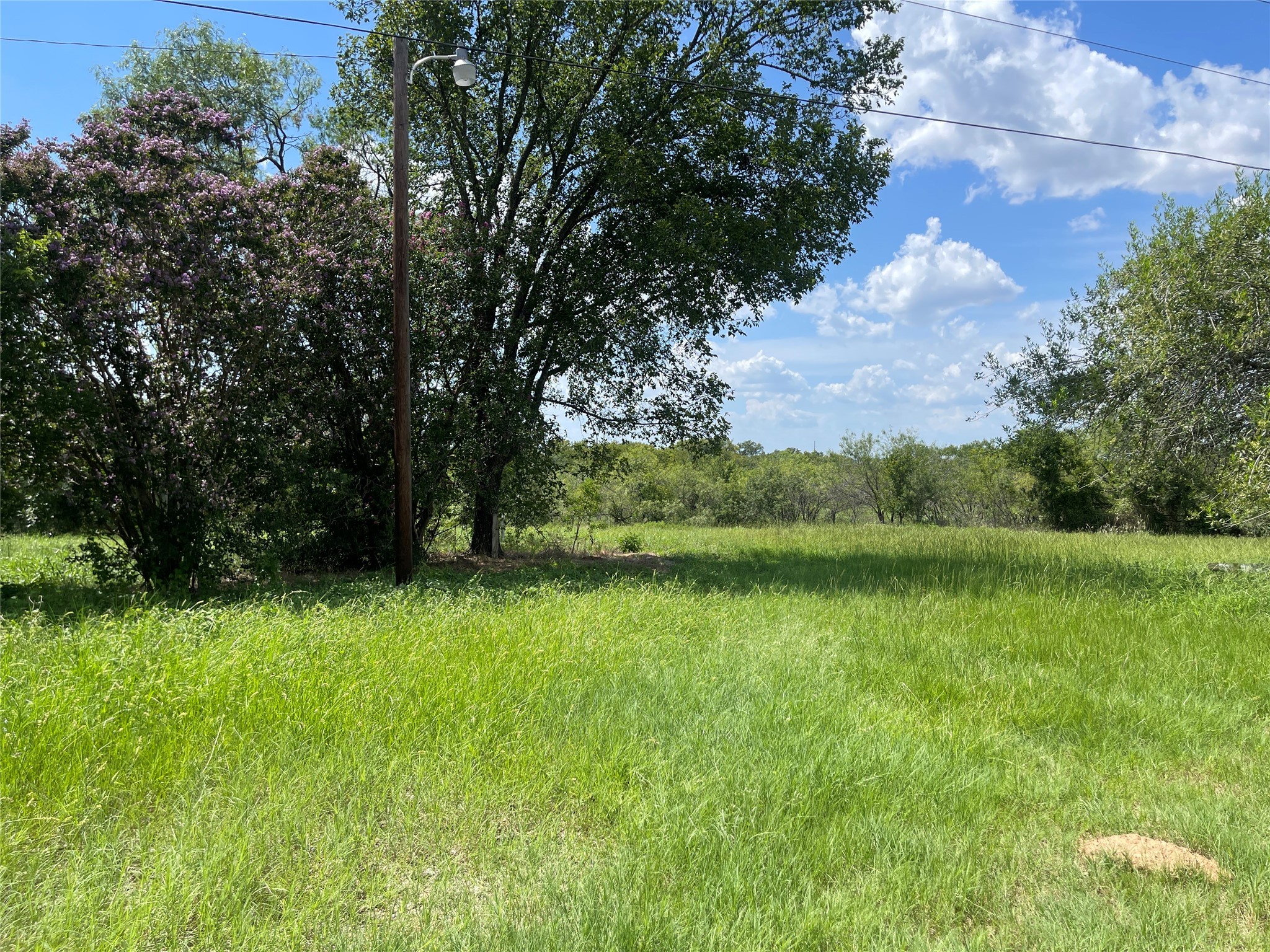 390 Bell Road Seguin, TX 78155 - Photo 1 of 6 a view of a golf course with a lake