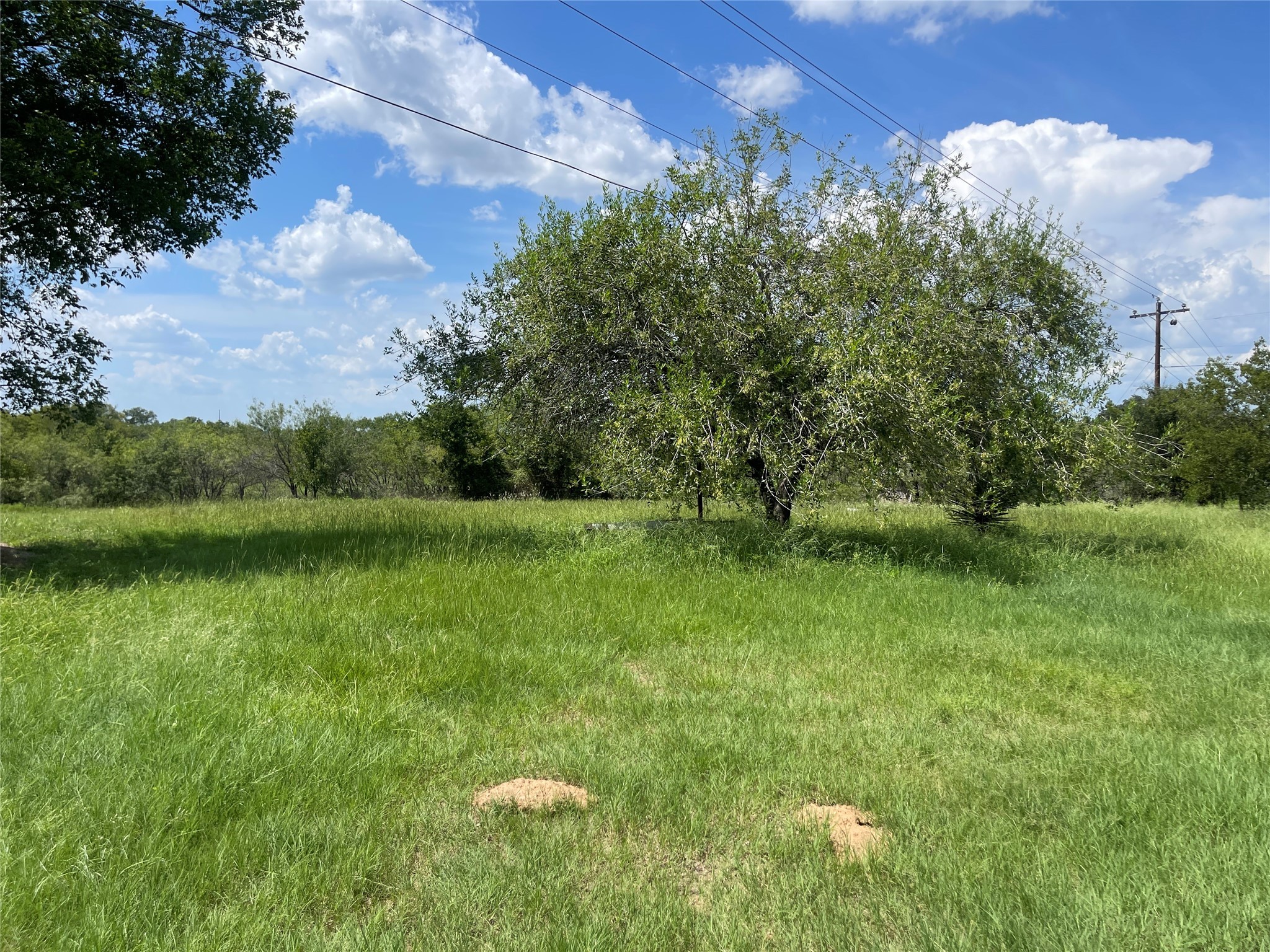 390 Bell Road Seguin, TX 78155 - Photo 6 of 6 a view of a lake with a yard