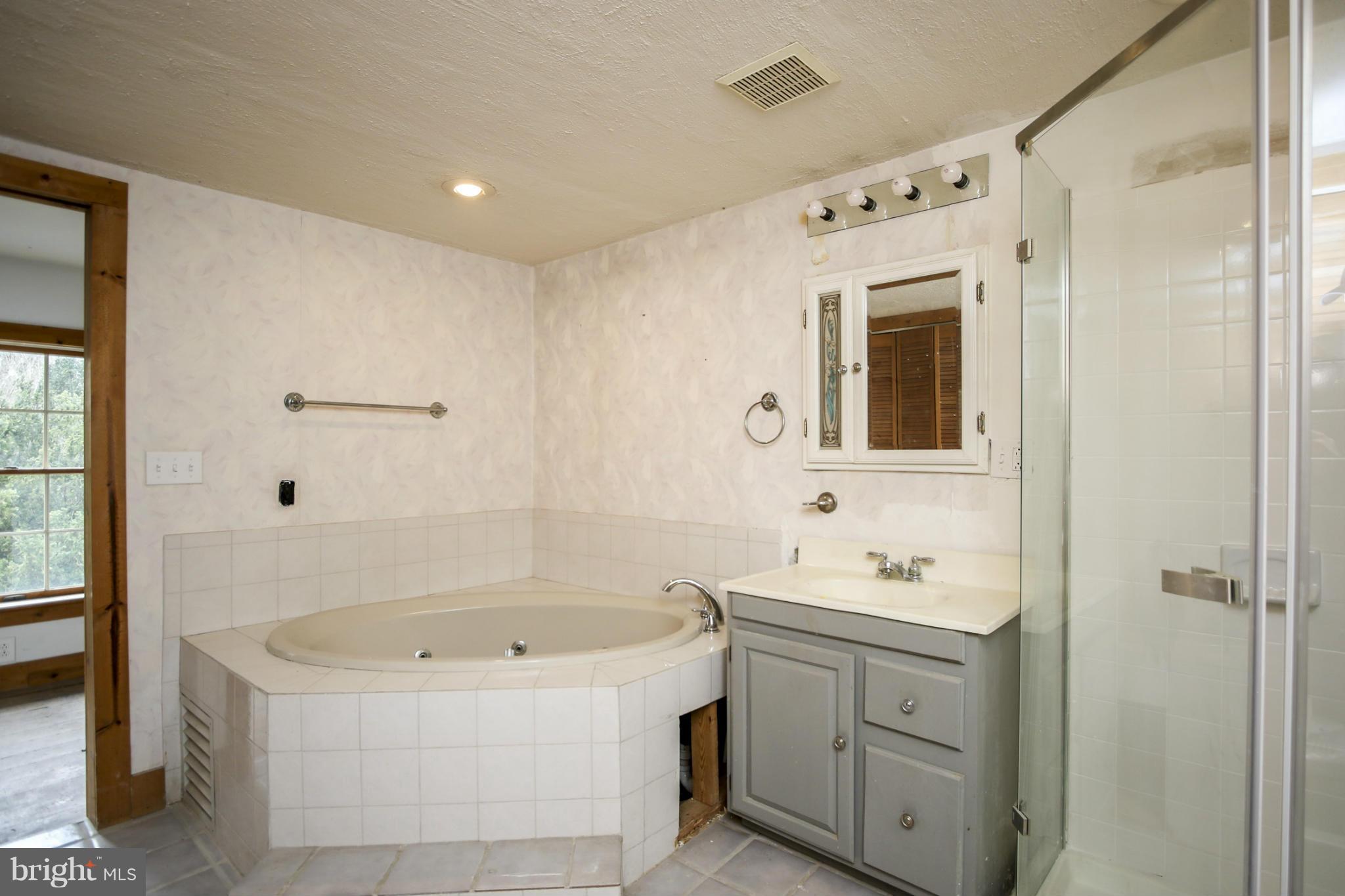 401 Slicers Mill Road Rising Sun, MD 21911 - Photo 29 of 29 Bath (Master)