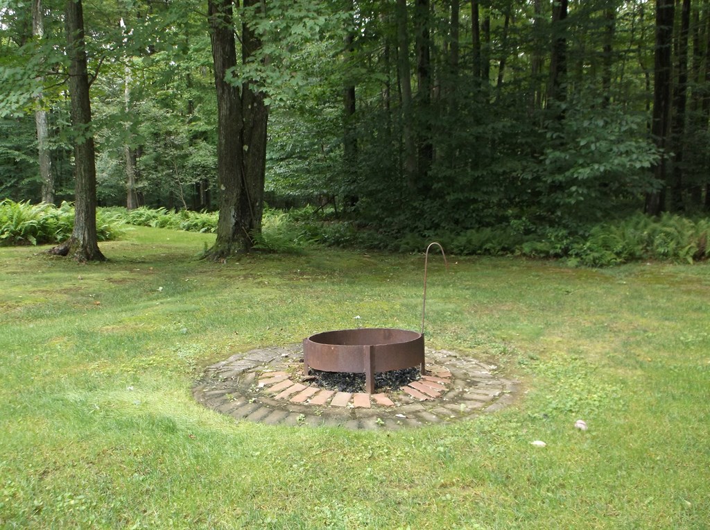 698 Byromtown Road Marienville, PA 16239 - Photo 6 of 30