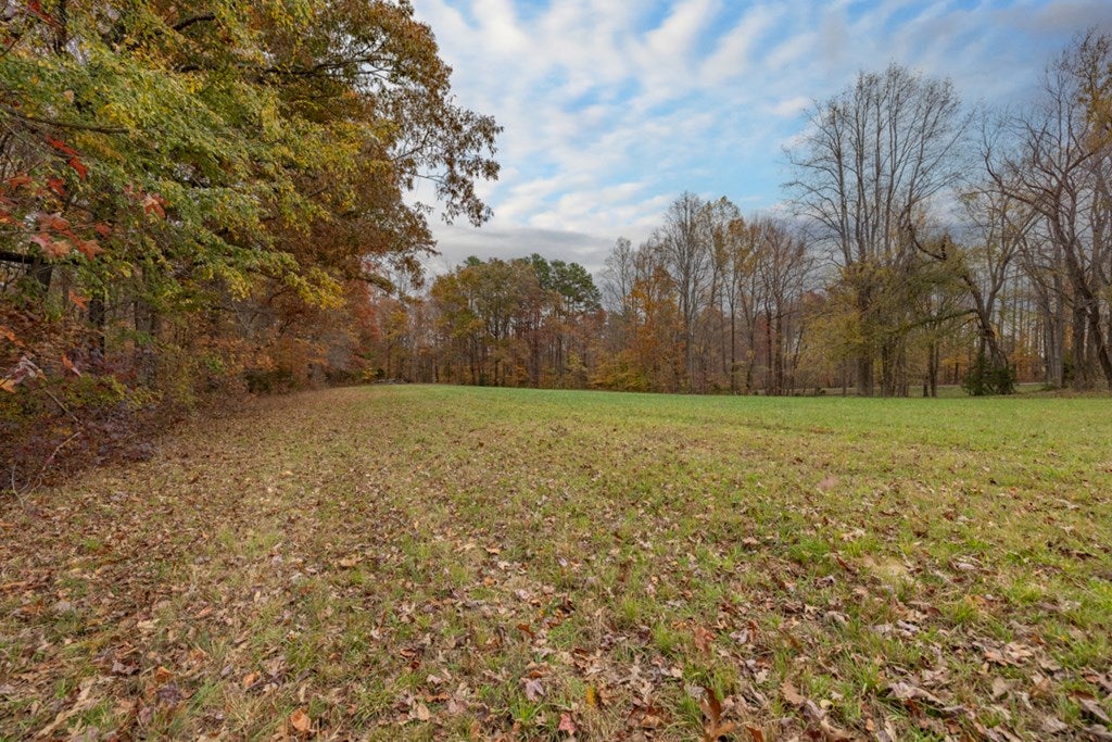 4810 Snead Spring Road Crewe, VA 23930 - Photo 13 of 58 Gallery Image 13