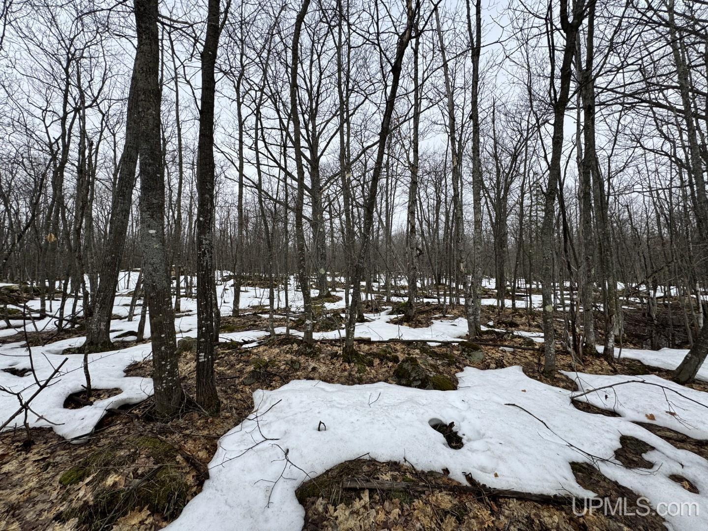 280-acres Off Pikes Peak Road Lanse, MI 49946 - Photo 17 of 21