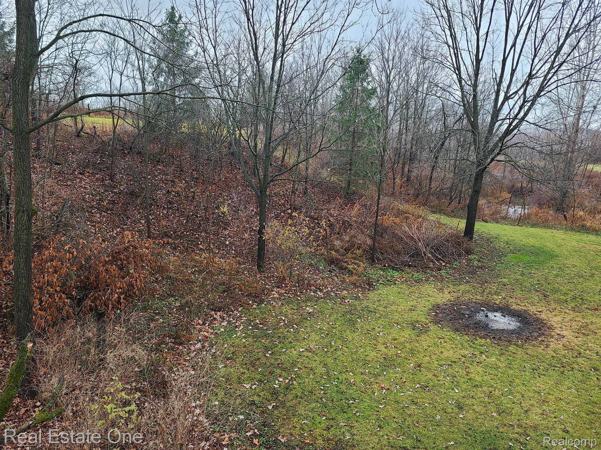 1170 Ridge Road South Canton, MI 48188 - Photo 63 of 84 HILL GOING UP TO BACK FIELDS