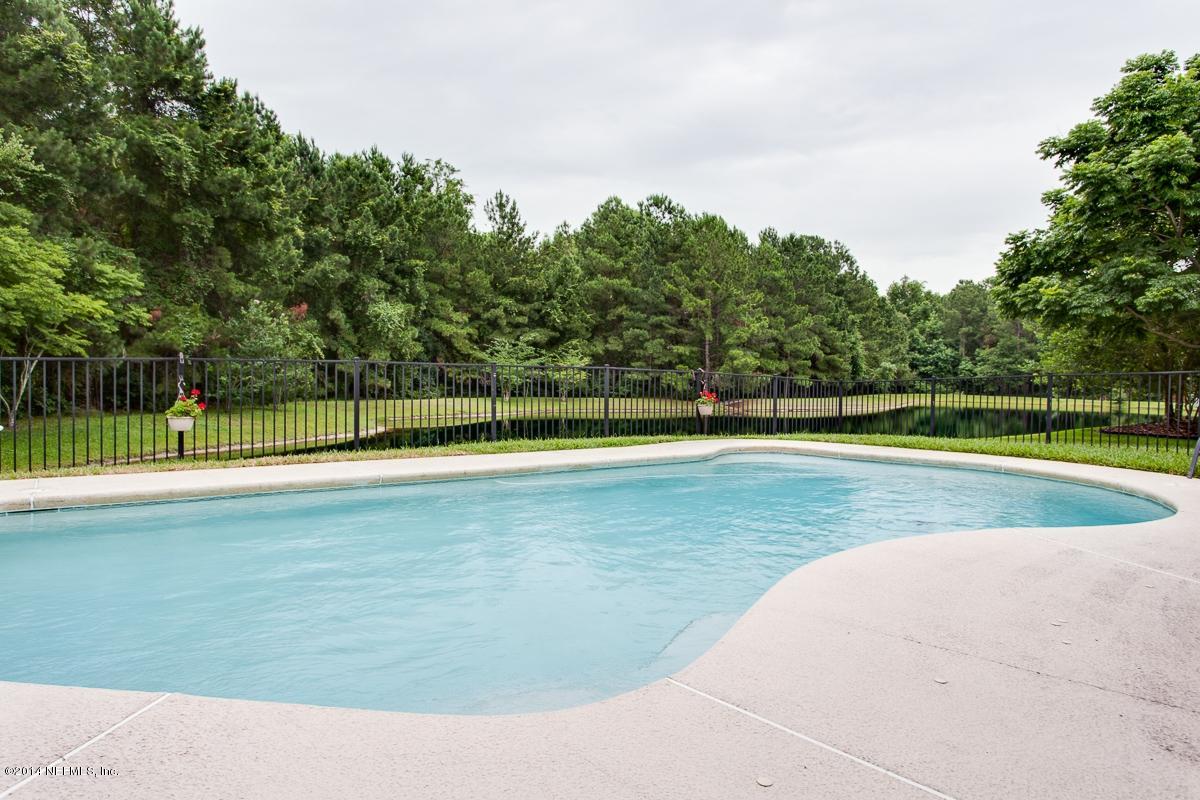 BACK YARD VIEW