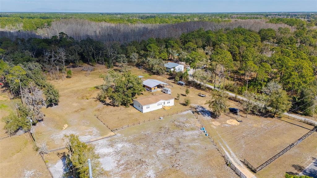 2100 East Kicklighter Road Lake Helen, FL 32744 - Photo 53 of 61 a view of a yard with a tree