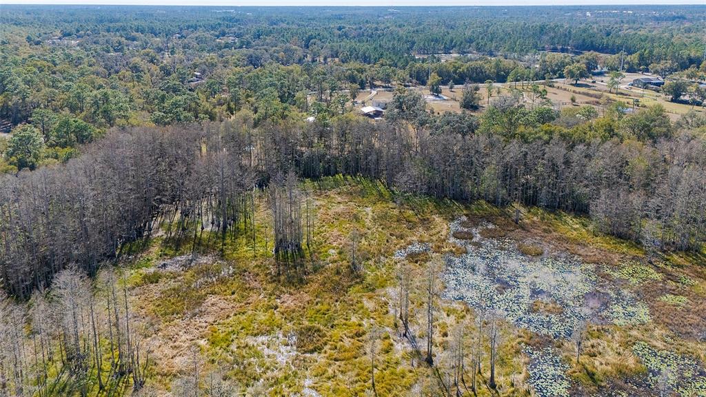 2100 East Kicklighter Road Lake Helen, FL 32744 - Photo 60 of 61 a view of yard