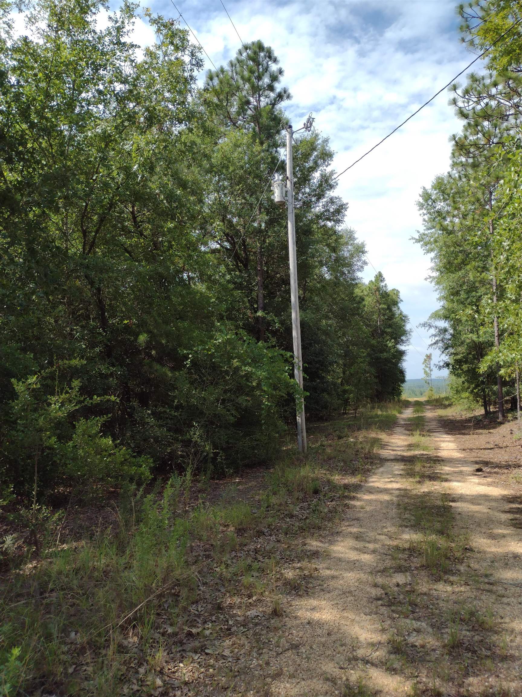 0 Silas Ganey Road Stockton, AL 36579 - Photo 3 of 6 Community