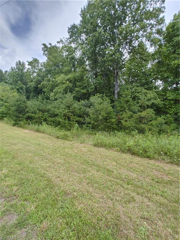 1171 Little Rock Road Cana, VA 24317 - Photo 3 of 21 Gallery Image 3