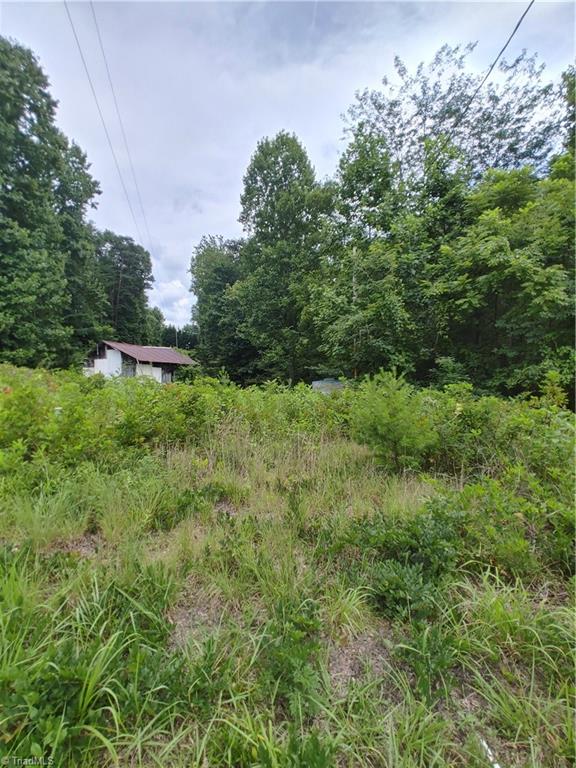 1171 Little Rock Road Cana, VA 24317 - Photo 10 of 21 Gallery Image 10