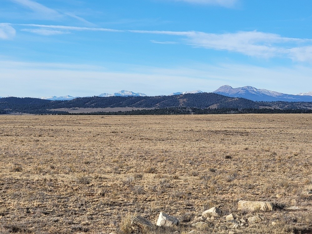 a view of lake and mountain