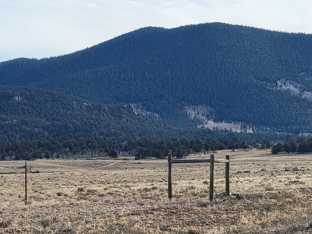 1162 Rocky Mountain Road Hartsel, CO 80449 - Photo 15 of 45 a view of a yard