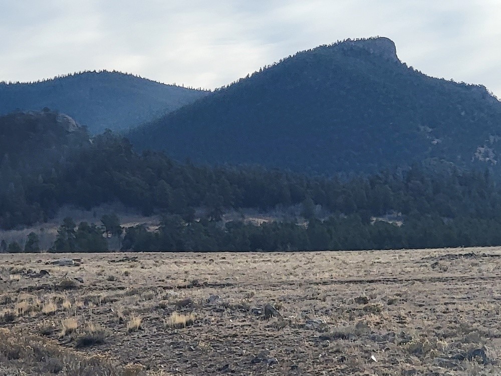 1162 Rocky Mountain Road Hartsel, CO 80449 - Photo 16 of 45 a view of outdoor space and mountains